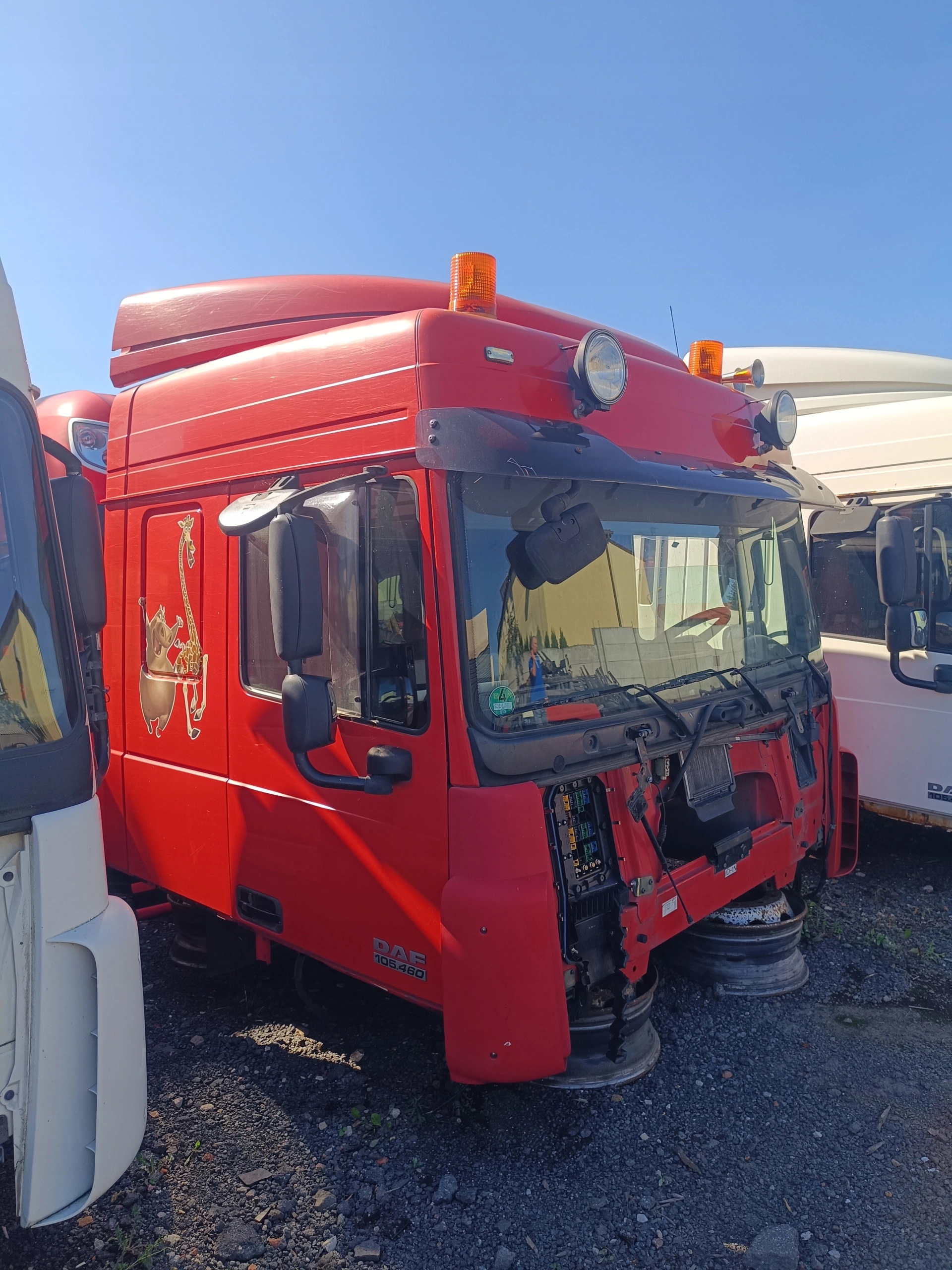 KABINA DAF XF 105 RÓŻNE RODZAJE WYPRZEDAŻ - obrazek 4